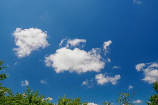 夏の空(37) 夏の空(37)の写真