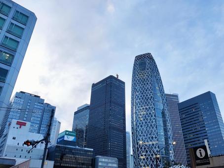 新宿の高層ビル群と空 新宿の高層ビル群と空の写真