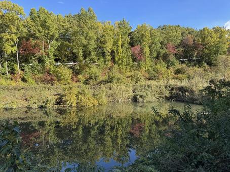 晩秋の池ノ入溜池（長野県塩尻市）の写真
