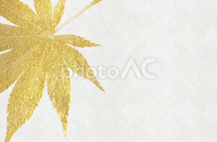 白色の和紙に金色の紅葉の背景画像 和風,背景,秋の写真素材