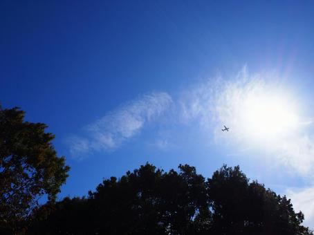 青空と飛行機 青空と飛行機 青空,空,飛行機の写真素材