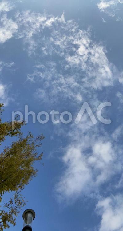 ふと見上げた 空,青空,晴れの写真素材