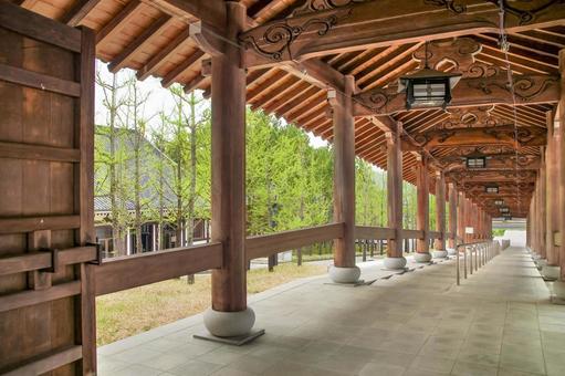 勝山市 清大寺・越前大仏 回廊（福井） 清大寺,越前大仏,回廊の写真素材