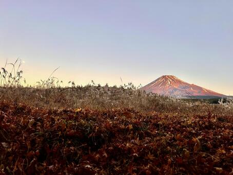 秋から冬へ 富士山,残月,自然の写真素材