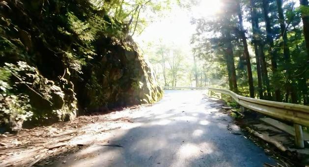 山道をツーリング 山道をツーリングの写真