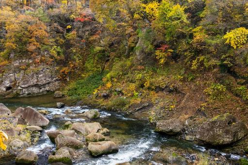 秋の磊々峡(48) 秋,紅葉,磊々峡の写真素材