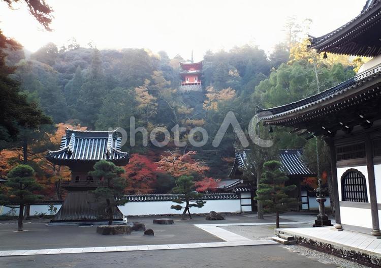 【紅葉写真】佛通寺の紅葉風景 紅葉,モミジ,もみじの写真素材