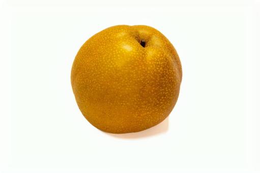 秋の果物の梨 秋の果物の梨の写真