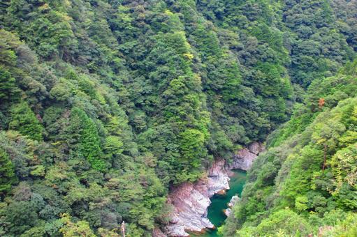 徳島県-祖谷渓-みどりの一里塚松尾 徳島県-祖谷渓-みどりの一里塚松尾の写真