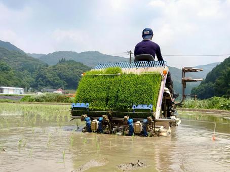 田植え、田植え機(ISEKI)④ 田植え、田植え機(ISEKI)④ 田んぼ,稲,米の写真素材