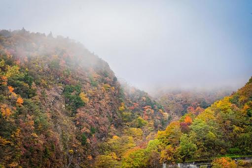 福島県　磐梯吾妻スカイラインの風景 磐梯吾妻スカイライン,福島,福島県の写真素材