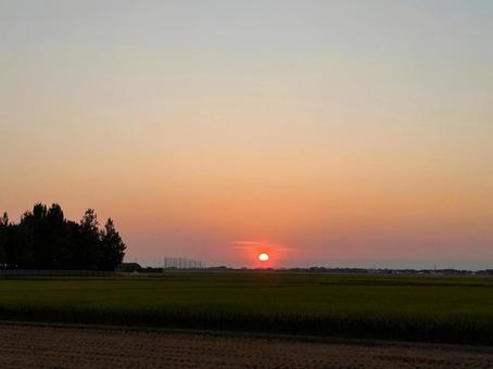 夕陽 夕陽の写真
