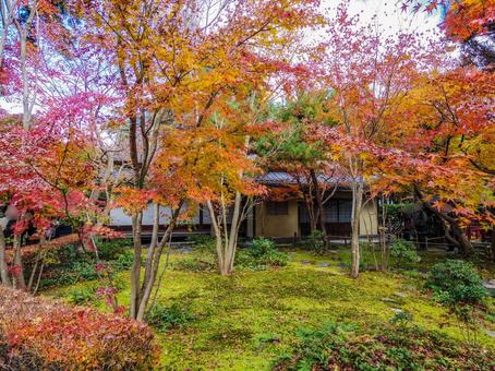 【神奈川県】鎌倉市・一条恵観山荘 【神奈川県】鎌倉市・一条恵観山荘の写真