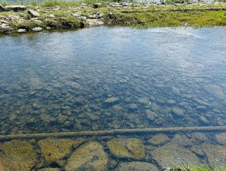 夏の川辺 夏の川辺 夏の川辺,川,清流の写真素材