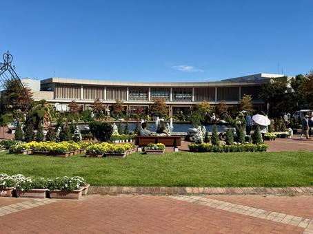秋の武生中央公園 モニュメント,菊人形,菊祭の写真素材