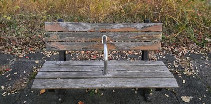公園のベンチ 公園,枯葉,ベンチの写真素材