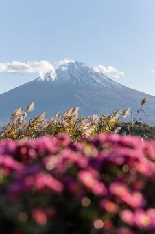 富士山 富士山,観光地,日本最高峰の写真素材