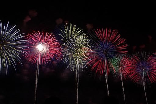 25年長岡まつり 花火 25年長岡まつり 花火の写真