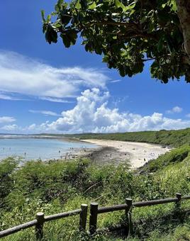 海 砂浜 beach 海 砂浜 beachの写真