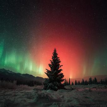 夜空に広がる光のカーテン 夜空に広がる光のカーテンの写真