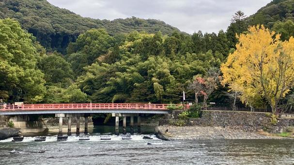 秋の宇治川〜観流橋〜 秋の宇治川〜観流橋〜 宇治,秋,宇治川の写真素材
