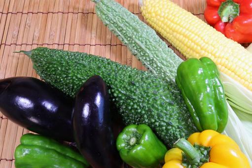 夏野菜 5 夏野菜 5 夏野菜,野菜,ゴーヤの写真素材