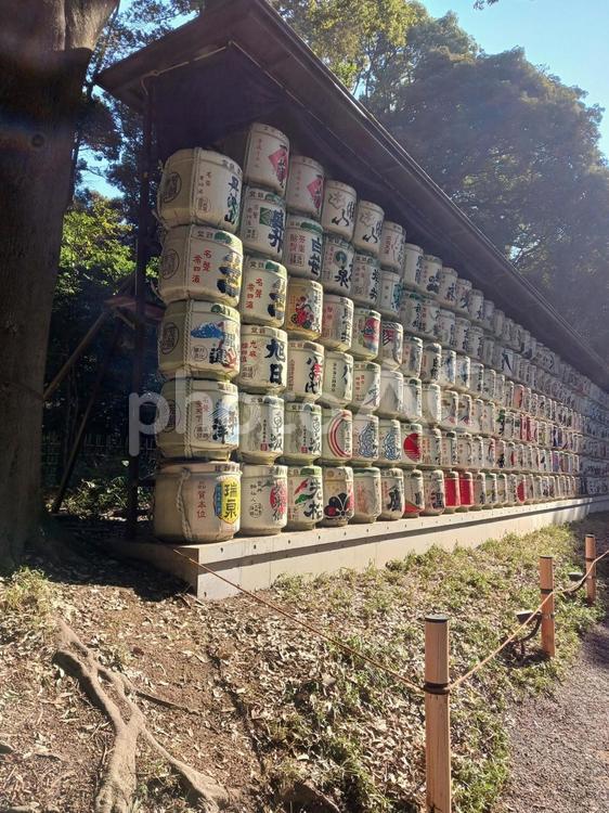 明治神宮の奉納酒樽｜日本の伝統と文化 日本,東京,明治神宮の写真素材