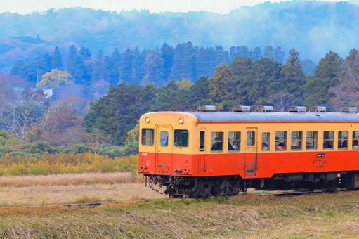 小湊鐵道 小湊鐵道,キハ210,紅葉の写真素材