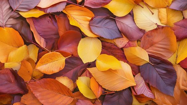 敷き詰められた暖色系の落ち葉の背景画像 敷き詰められた暖色系の落ち葉の背景画像の写真