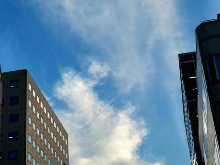 ビルの谷間 夏の青空と雲 ビルの谷間 夏の青空と雲 ビルの谷間,ビジネス,雲の写真素材