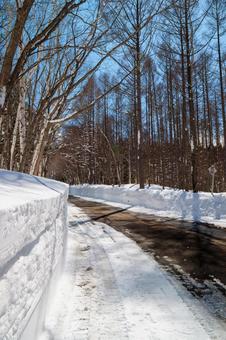 Photo, akiyama village, nagano prefecture, okimura, 
