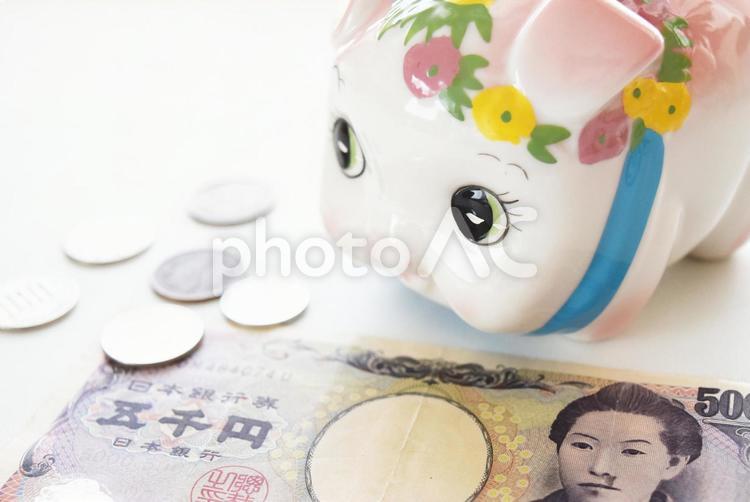 豚の貯金箱と現金1 豚の貯金箱,貯金箱,ちょきんばこの写真素材