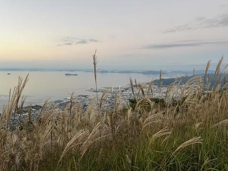 翠波高原から見える景色の写真