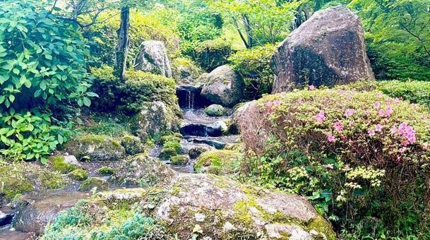 沢の流れ 沢の流れの写真