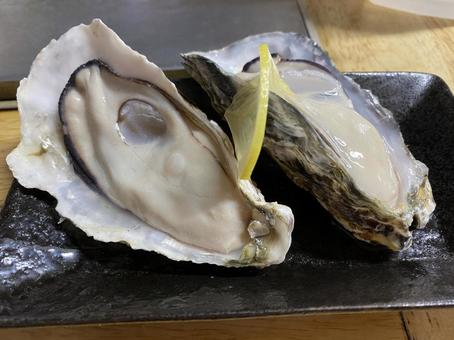 酢牡蠣 グルメ,牡蠣,食中毒の写真素材