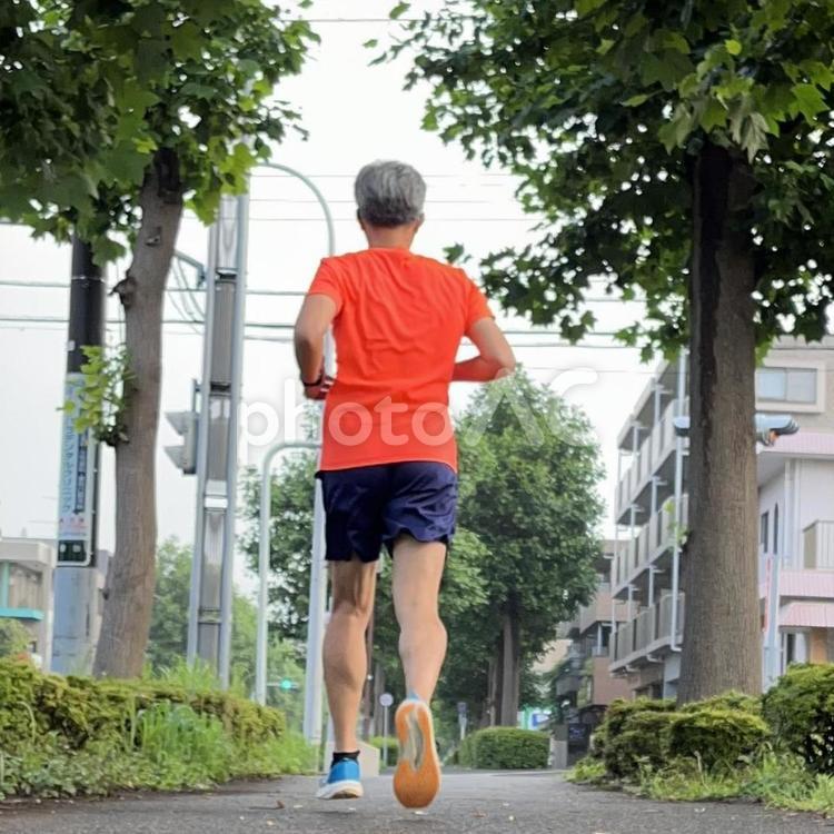 街路樹を見ながら走る男性 男性,男,走るの写真素材