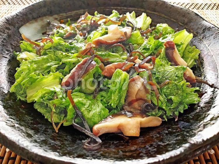 わさび菜と椎茸の塩昆布和え わさび菜,椎茸,塩昆布の写真素材