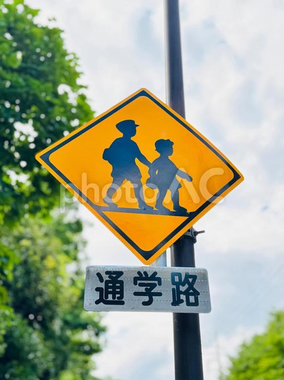 「通学路」の道路標識 道路標識,標識,通学路の写真素材