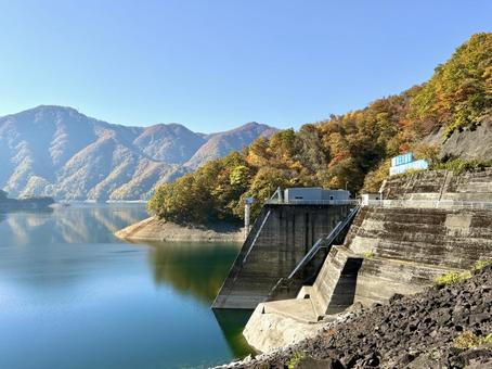 秋の福井県の九頭竜ダム　紅葉に色づく湖 秋,晩秋,九頭竜ダムの写真素材