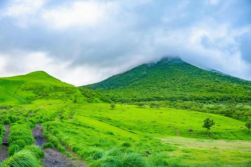 夏の由布岳 大分 夏の由布岳 大分の写真