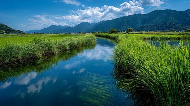 水田地帯と、遠くに見える山々 水田地帯と、遠くに見える山々の写真