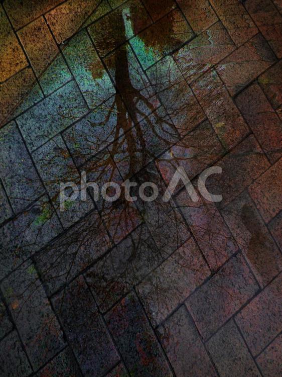 虹が生まれる街 虹,煉瓦,歩道の写真素材
