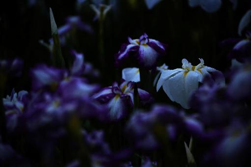 On a rainy night..., JPG On a rainy night..., JPG