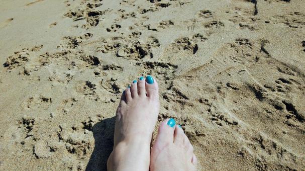 砂浜と足と足跡 砂浜,足あと,犬の写真素材