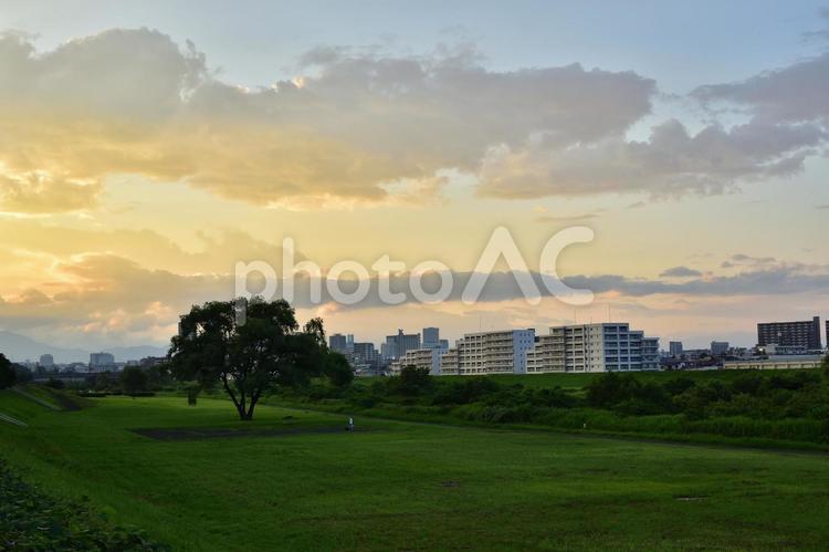 宮城県仙台市　広瀬川河川敷からの風景 夕焼け,夕方,広瀬川の写真素材