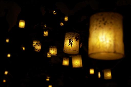 ランタンの灯火 ランタン,灯,きれいの写真素材