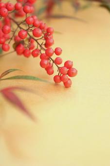 金色背景　南天 南天,ナンテン,正月の写真素材