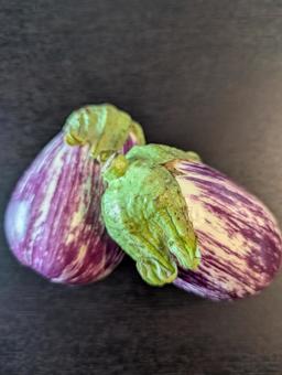 なす 野菜,なすび,夏野菜の写真素材