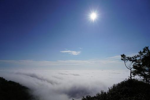 雲海 空,トマム,雲海の写真素材