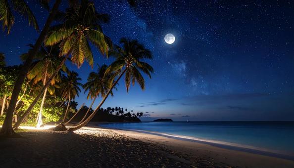 南国のビーチの夜景 月 南国のビーチの夜景 月 の写真